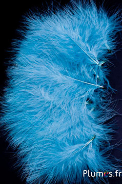 Pute Marabout - 8-12 cm - eis